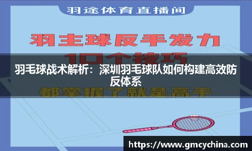 羽毛球战术解析：深圳羽毛球队如何构建高效防反体系