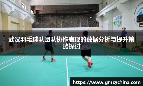 武汉羽毛球队团队协作表现的数据分析与提升策略探讨